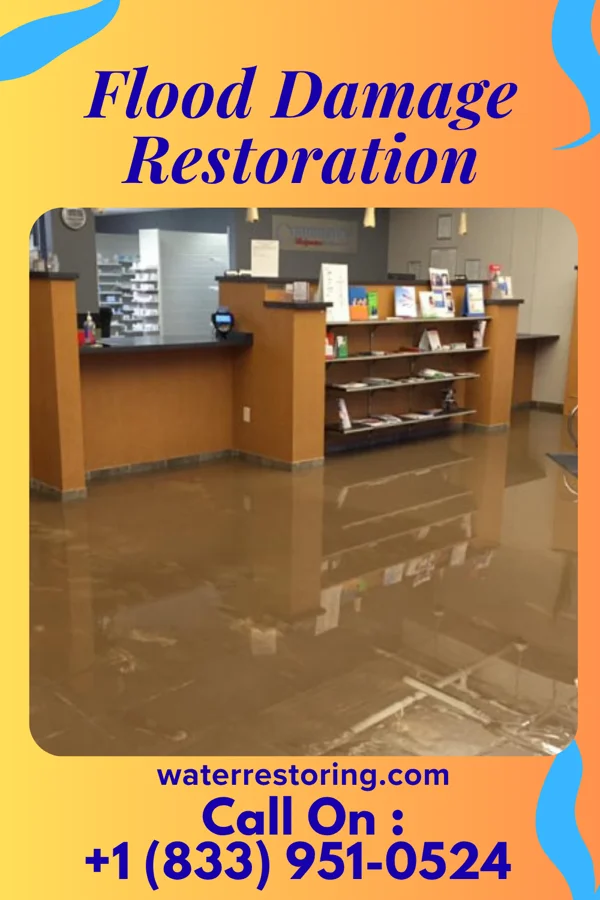 Flood Damage Restoration in Shabbona, IL