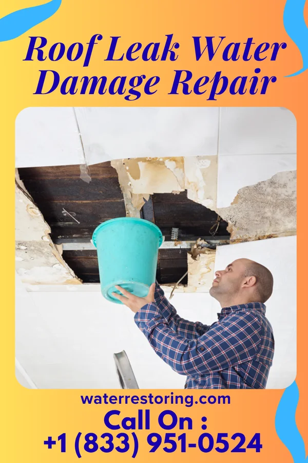 Roof Leak Water Damage Repair in Shabbona, IL
