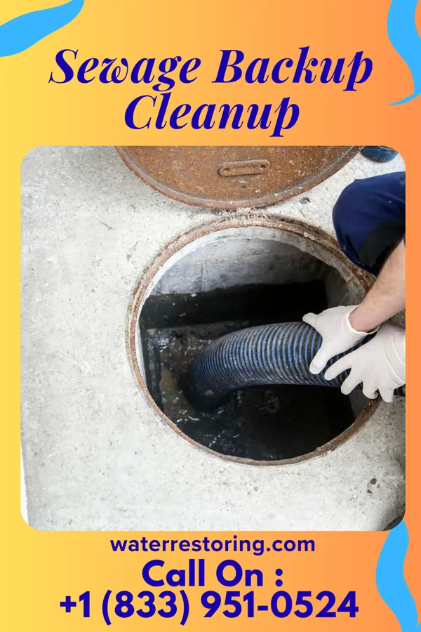Sewage Backup Cleanup in Shabbona, IL