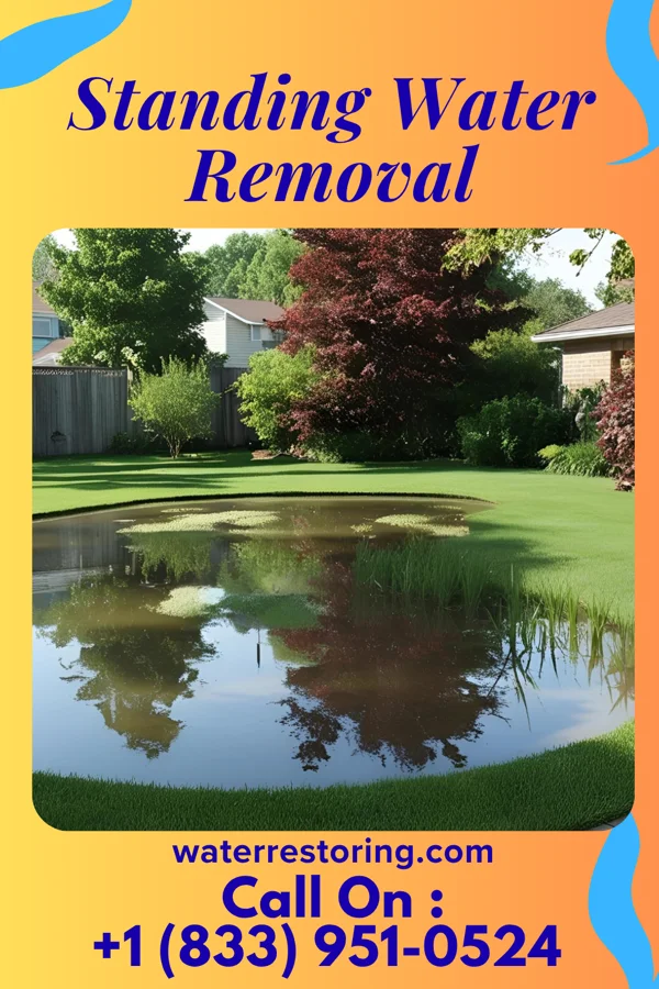Standing Water Removal in Shabbona, IL